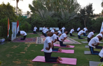 Embassy of India, Baghdad on 16th June 2022 organized a morning Yoga session in the run up to International Day of Yoga, that will be celebrated on 21st June 2022